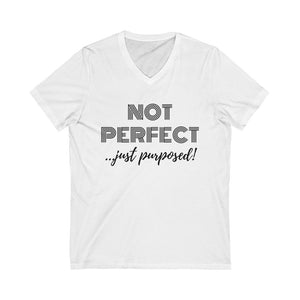 "Not Perfect" Unisex Jersey Short Sleeve V-Neck Tee