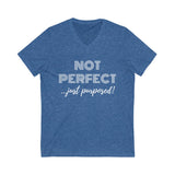 "Not Perfect" Unisex Jersey Short Sleeve V-Neck Tee