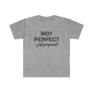 "Not Perfect" Unisex Fitted Short Sleeve Tee